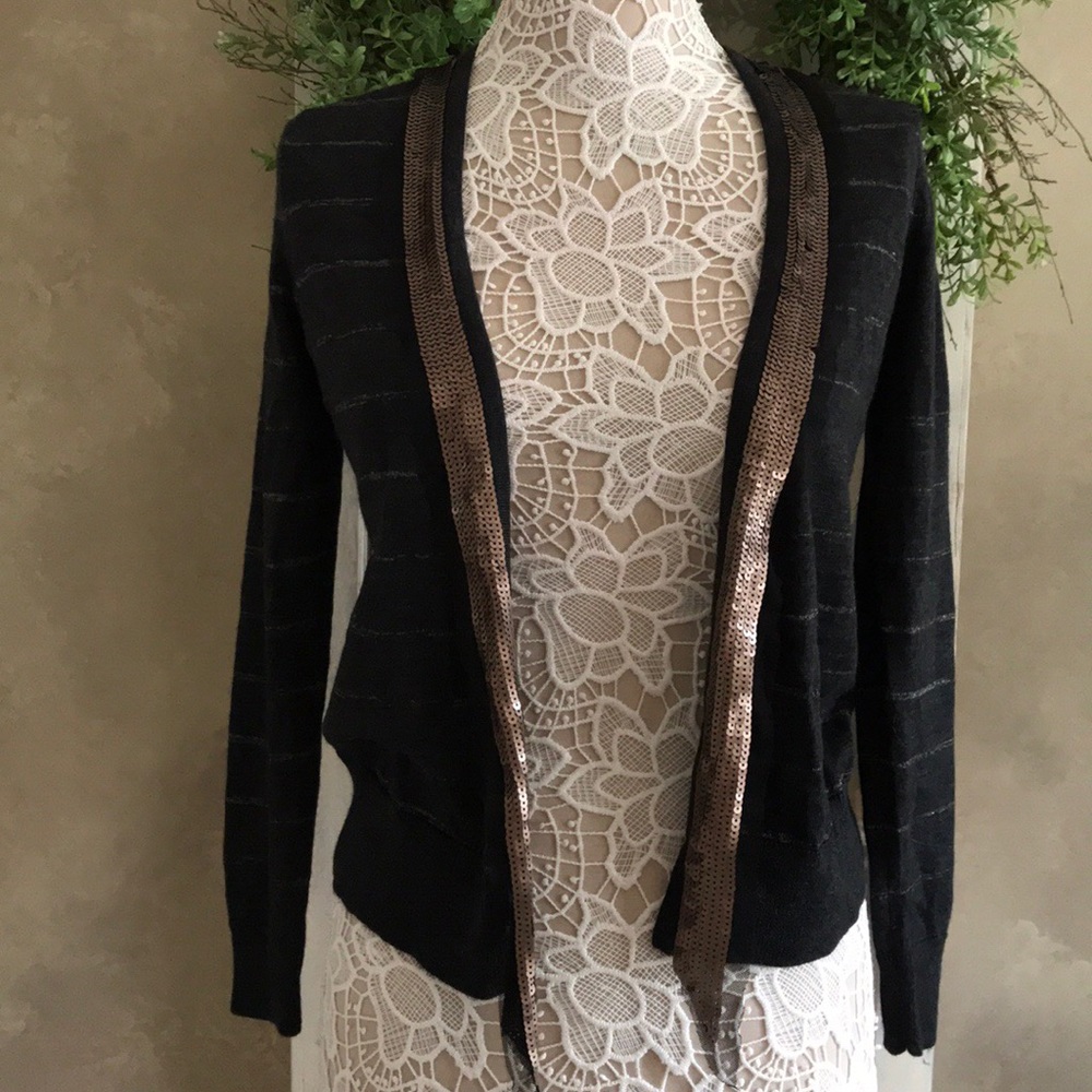 Ann Taylor Loft petites size SP sweater NWT